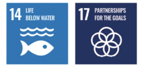 Partnerships SDG tiles.png